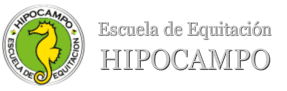 Escuela Hipocampo