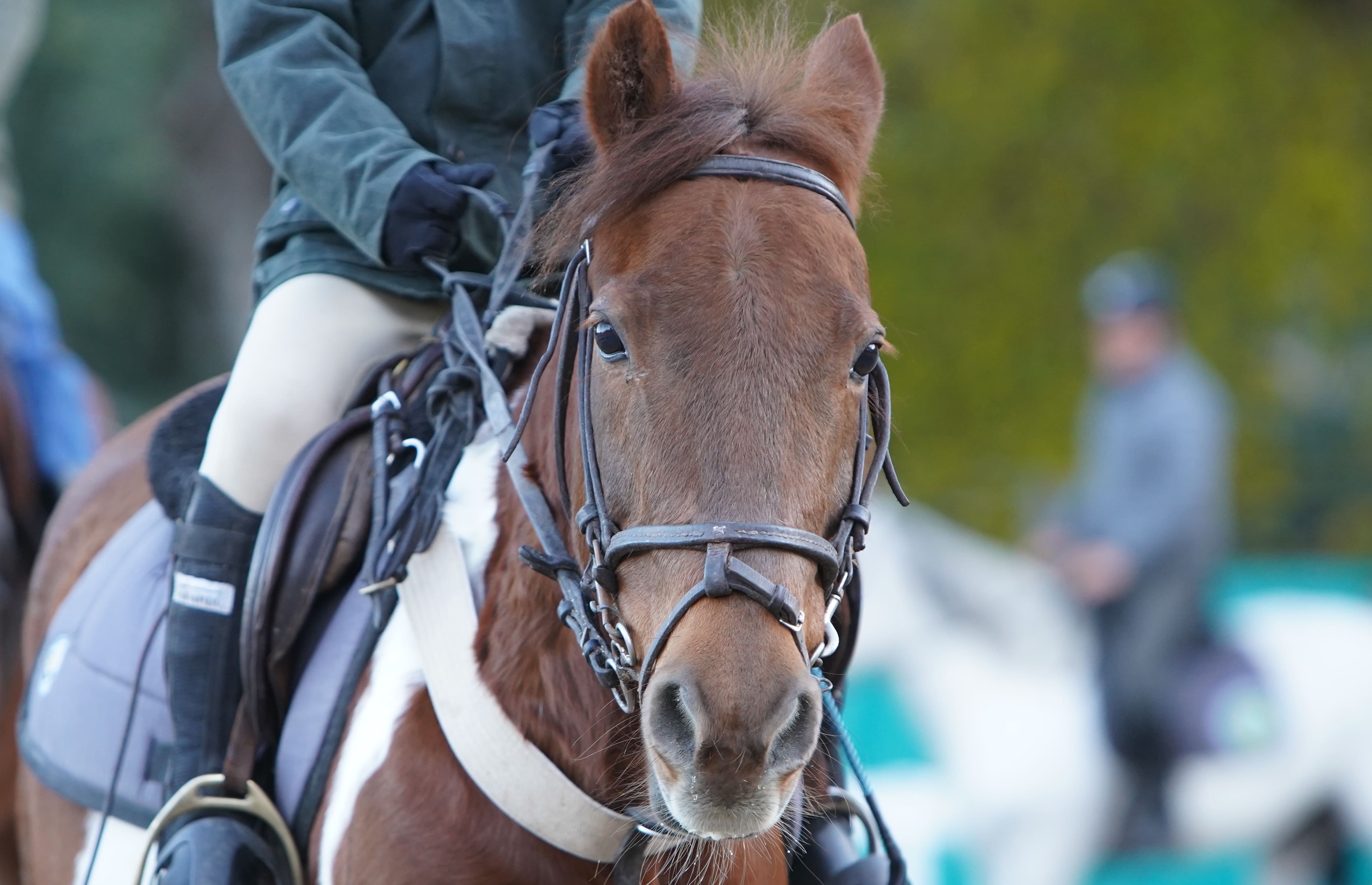 Progresión técnica personalizada
