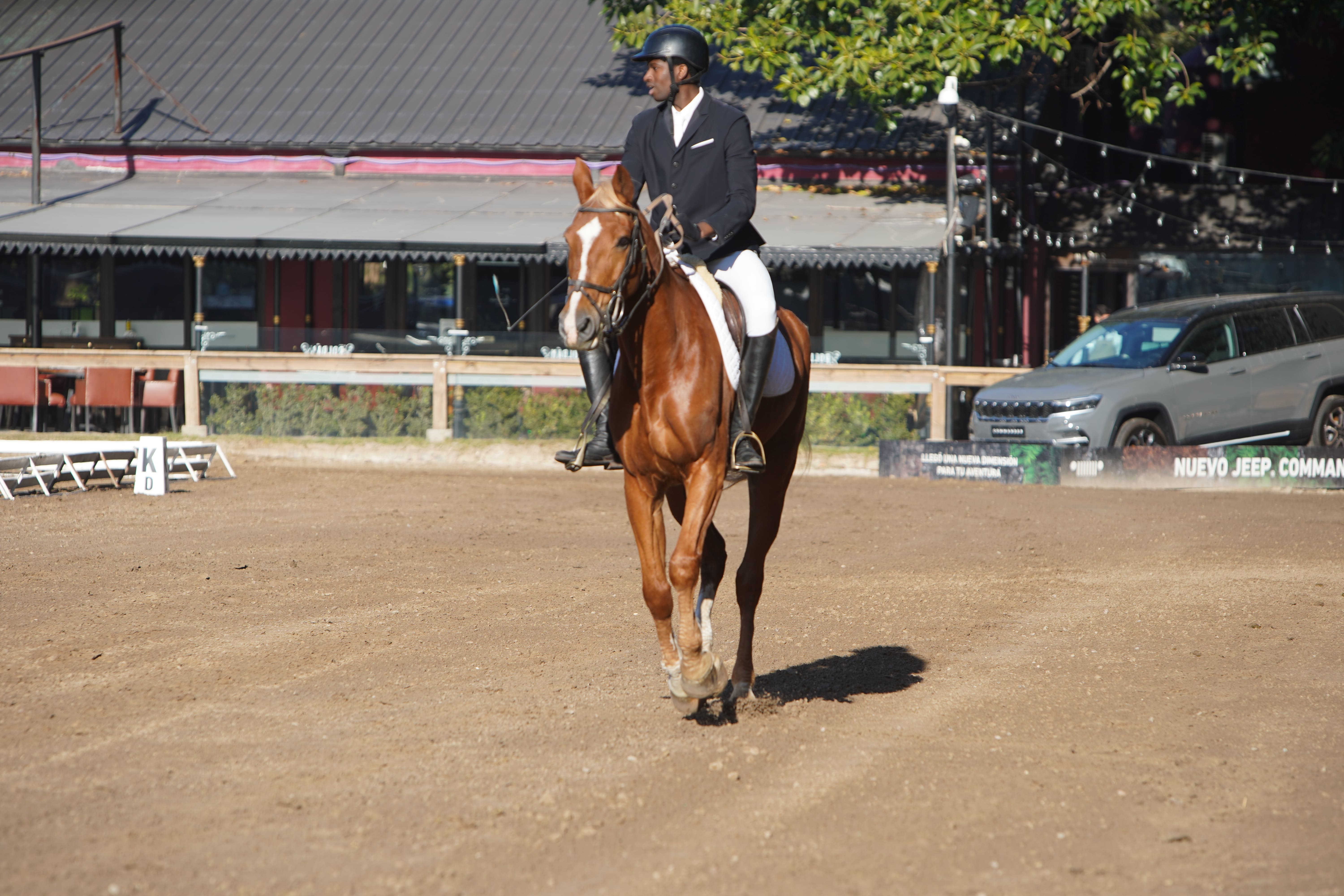 Base sólida de adiestramiento