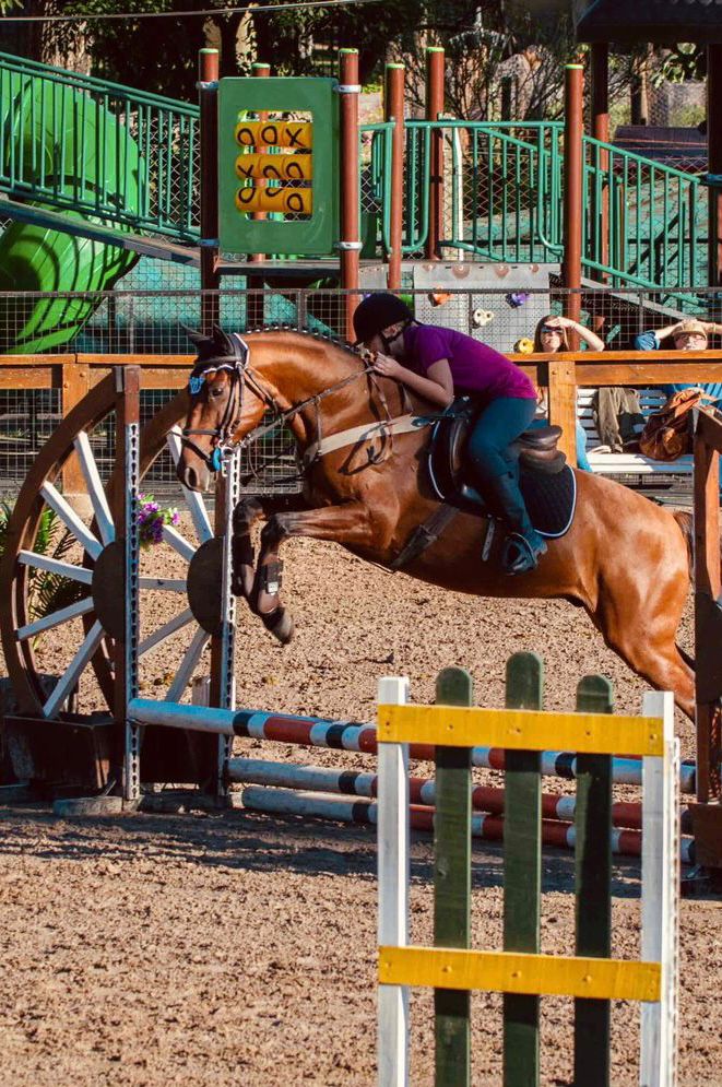 Individuales y Grupales