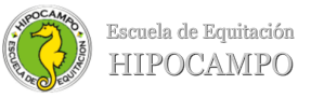 HIPOCAMPO