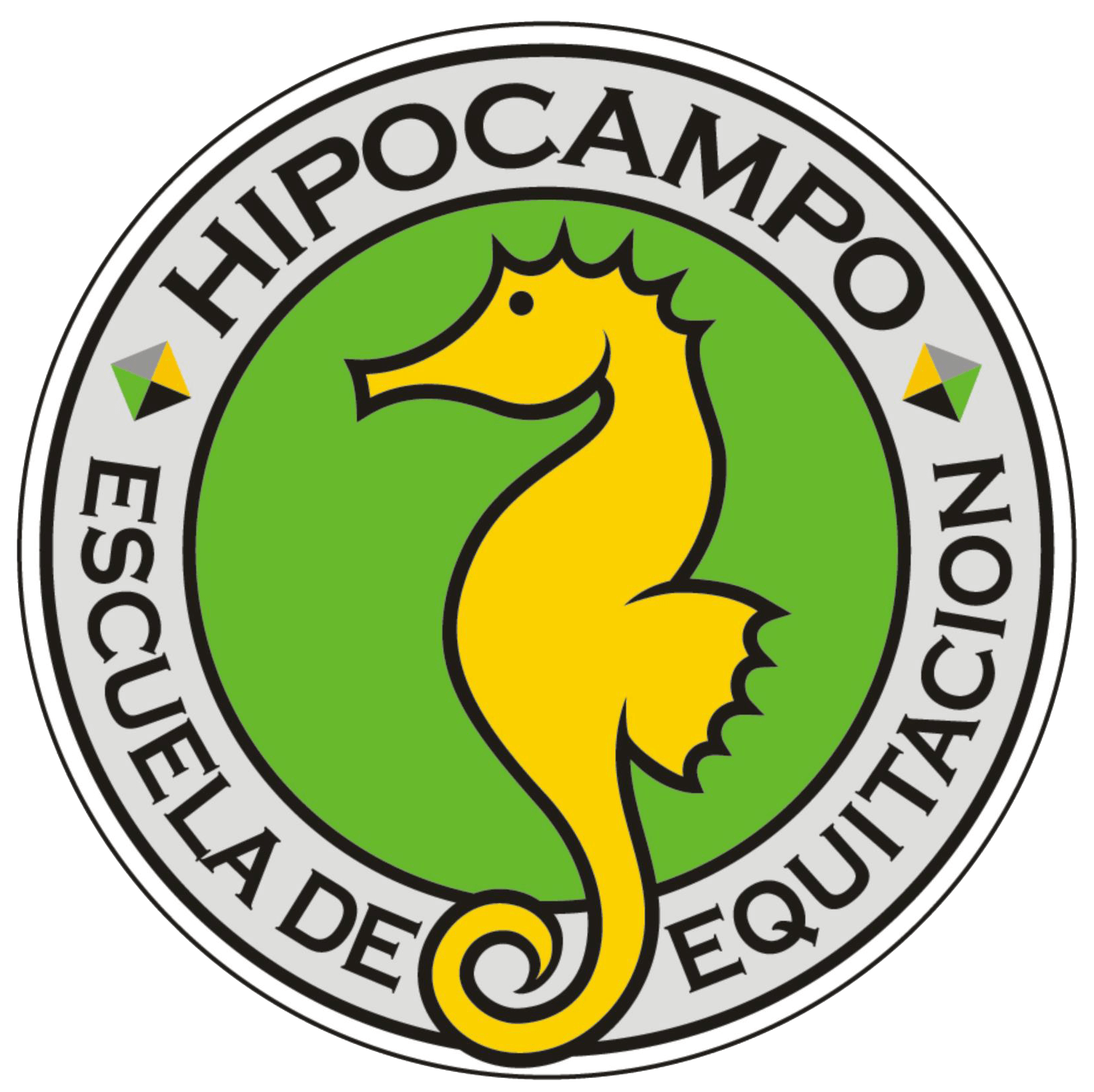 HIPOCAMPO